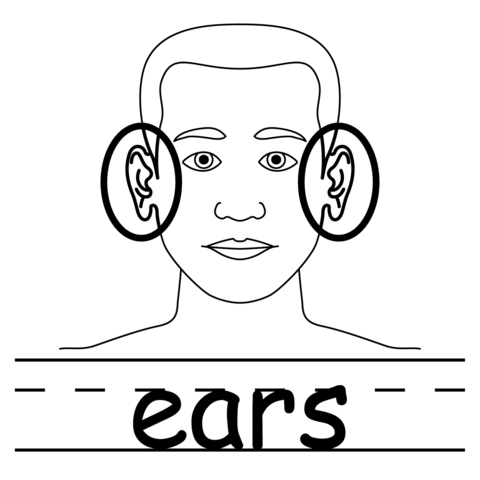 Ears