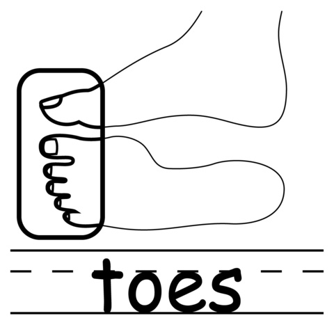 Toes