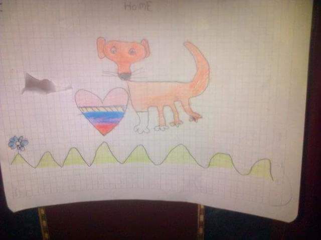 MUERTE DE MI MASCOTA