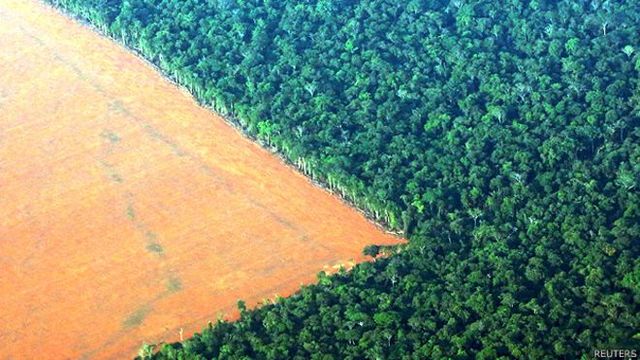 18. HUMEDALES, DEFORESTACION,