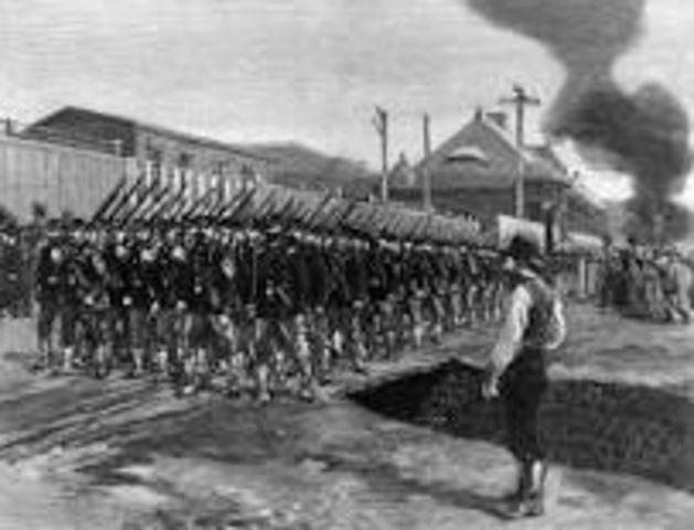 The Pullman and Homestead Strikes