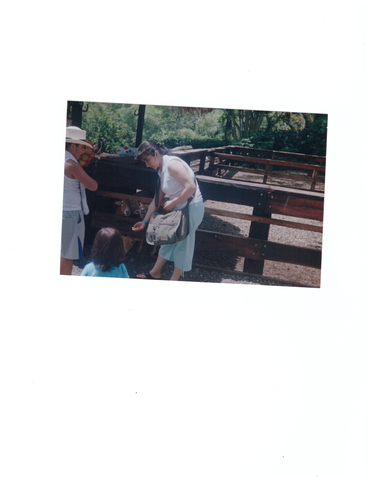 visita al parque del cafe