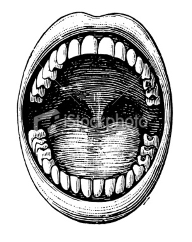 Mouth