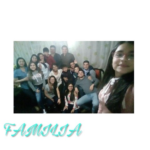 mi familia