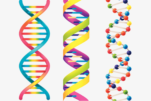 James Watson y Francis Crick