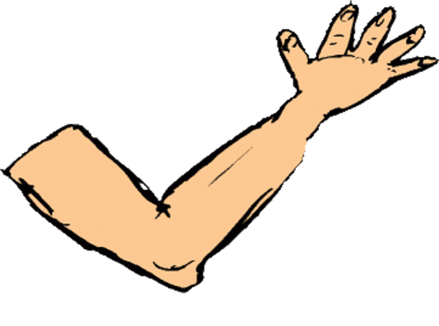 Arm