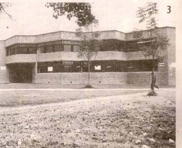 La Sociología Como Profesión