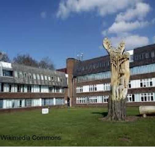 Instrumentación del curso formado por objetivos del aprendizaje.