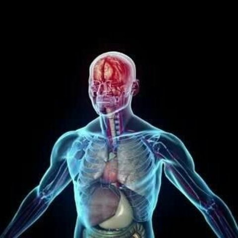 La fisiopatologia y la farmacologia