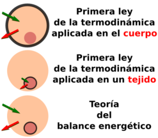 Leyes de la Termodinámica.