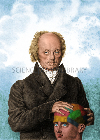 Franz Gall - XIX
