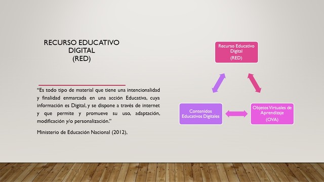 RED (Ministerio de educación Nacional)
