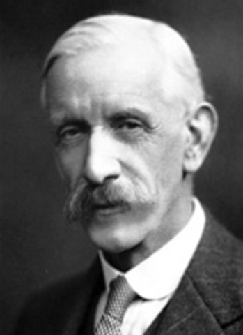 The Disoveries of the Vtiamins