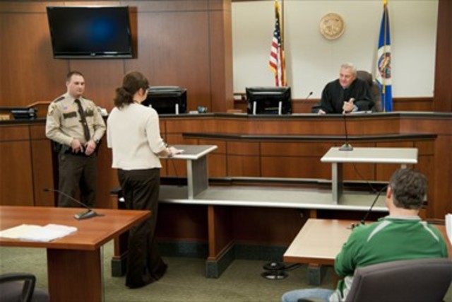 What will the court provide