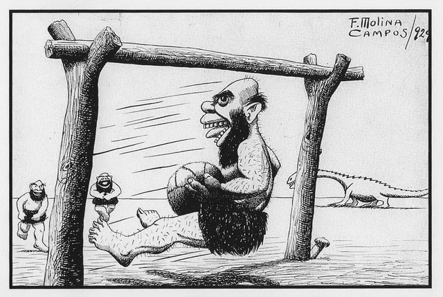 Actividad física y Juego