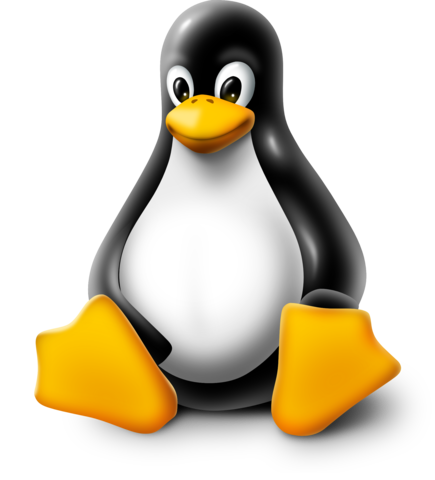 100 desarrolladores con Linux