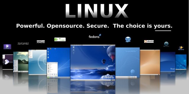 Versión 4.0 Linux
