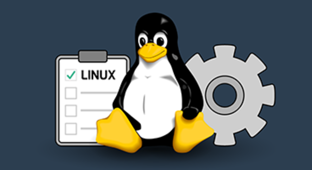linux lanza la version 1.0