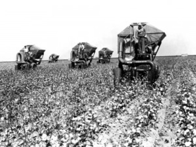 Spindle Cottonpicker