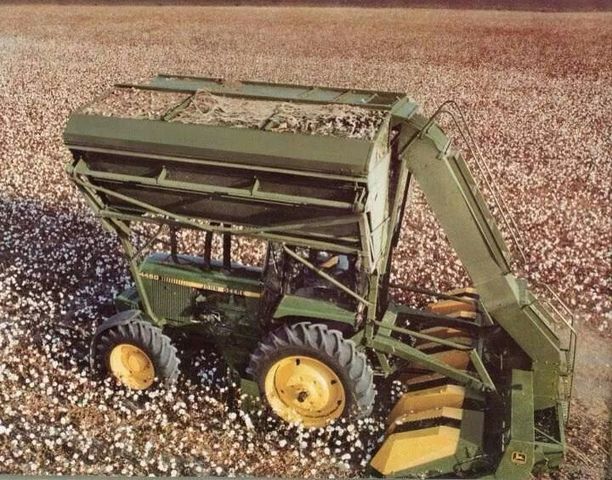 Mechanically Harvested Cotton