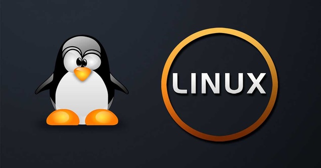 Transporte de Linux