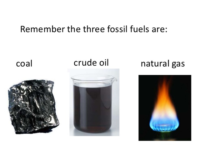 Fuel