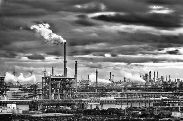 First fossil is found