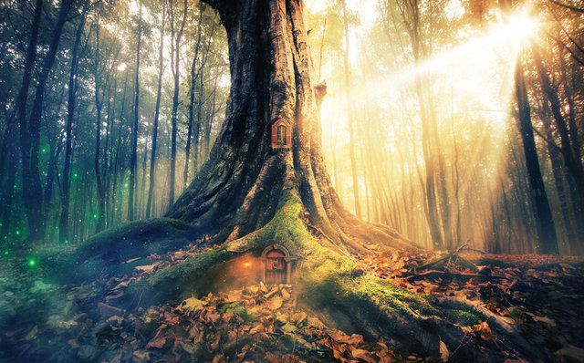 5 million years ago a majestic orb tree dies after dinosaur extinction