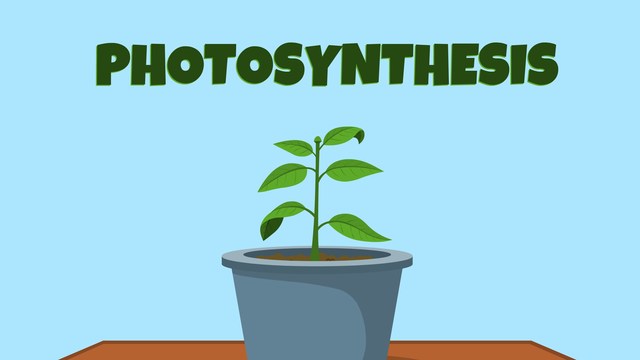 Photosynthesis