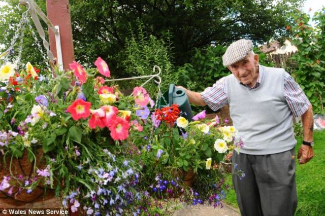 Grandpa goes back to the garden