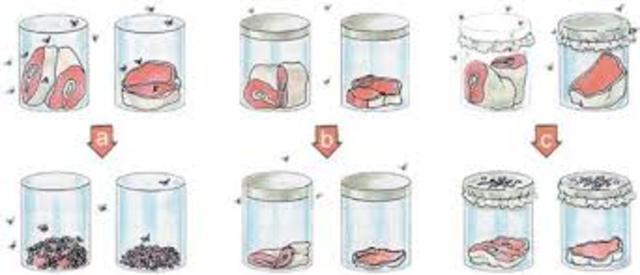 Francisco Redi (1626–1697)