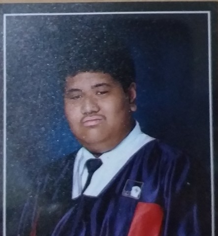 A teenager in the world of new media (2014-2016)