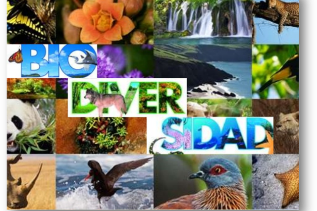 PROTECCIÓN DEL MEDIO AMBIENTE