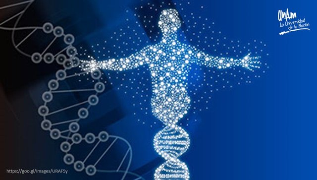 Proyecto del Genoma Humano