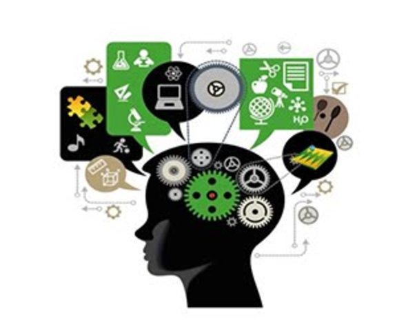 OBJETOS DE CONOCIMIENTO/ CONTENEDORES ORGANIZADOS