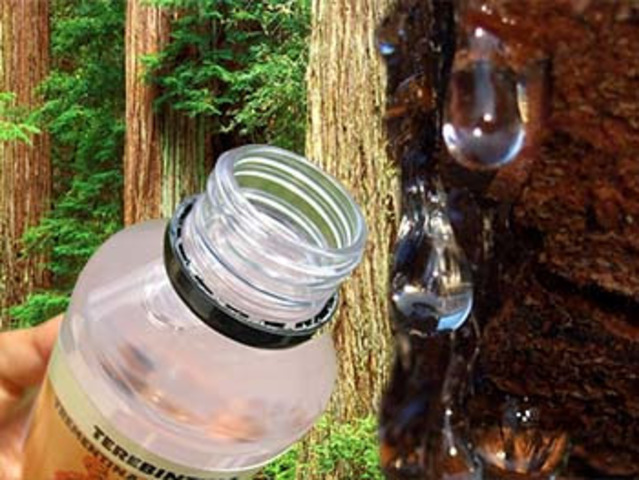 la primera fotografía