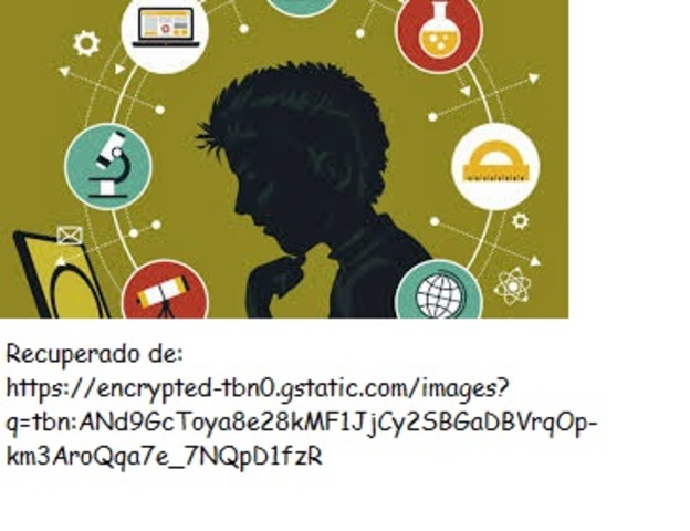 Definición RED. García, 2010.