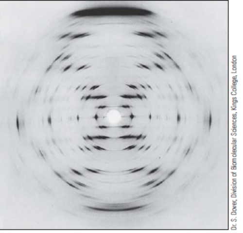 Rayos X y la estructura del ADN