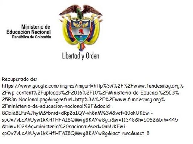 Definición de RED por el MEN en Colombia