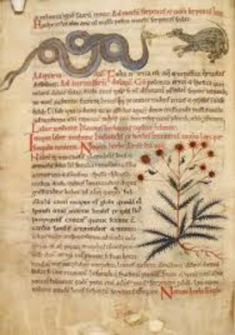 Escritos Antiguos de Veterinaria