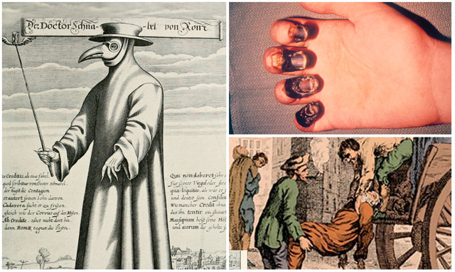 Edad Moderna siglo XV