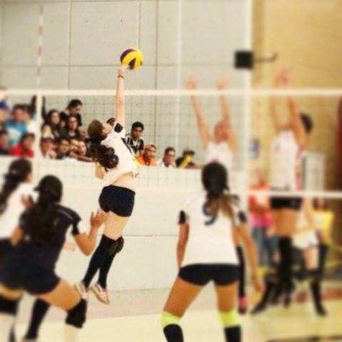 Volibol