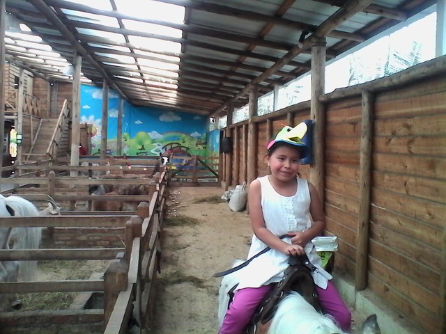 día de mis cumpleaños