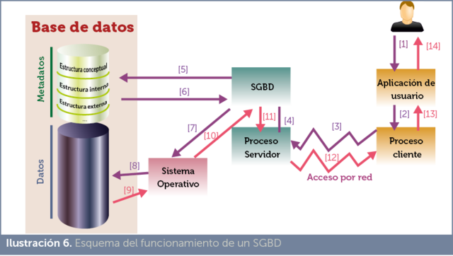 Sistema Cliente servidor
