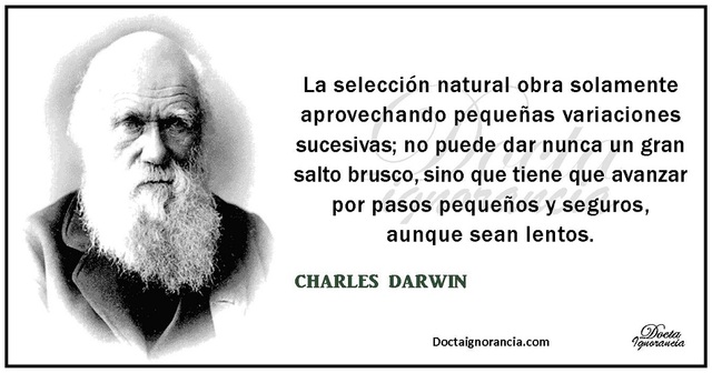 Postura de Darwin II