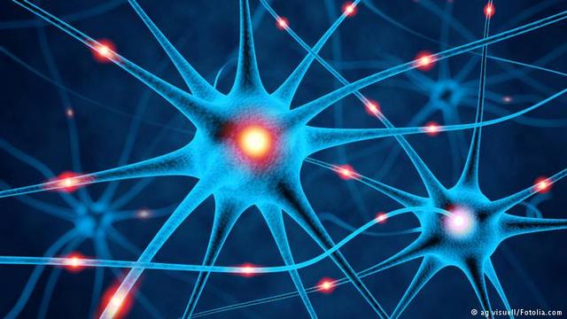 primera agrupación de neuronas