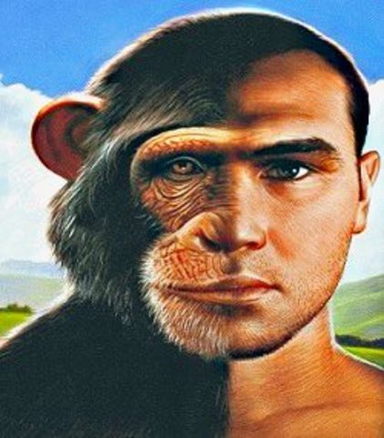 Descubrimiento de la composición del ADN humano.