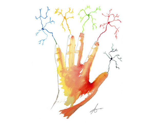 Psicofísica de Miller