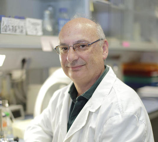 Definiciones de Prospectiva