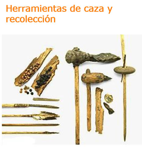 EL HOMBRE PRIMITIVO TRANSFORMA LA NATURALEZA